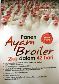 Panen Ayam Broiler 2kg dalam 42 Hari