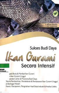 Sukses Budidaya Ikan Gurami Secara Intensif