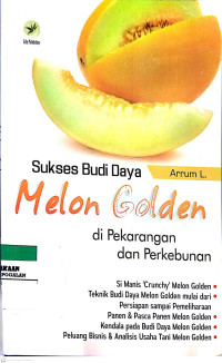 Sukses Budi Daya Melon Golden di Pekarangan dan Perkebunan