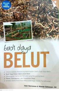 Budidaya Belut