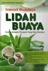 Intensif Budidaya Lidah Buaya